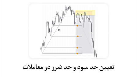 ارزیابی عملکرد