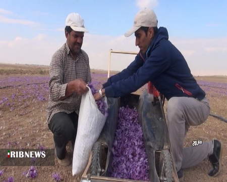 خلاصه ای از تجارت المپیک